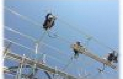 Maximize strengths to develop and improve the quality of products and services 